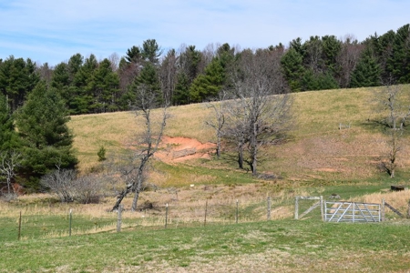 Country Home and Acreage for Sale in Floyd VA! - image 5