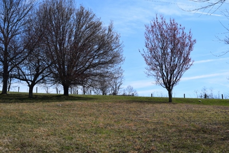 Country Home and Acreage for Sale in Floyd VA! - image 14
