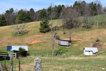 Country Home and Acreage for Sale in Floyd VA! - image 16