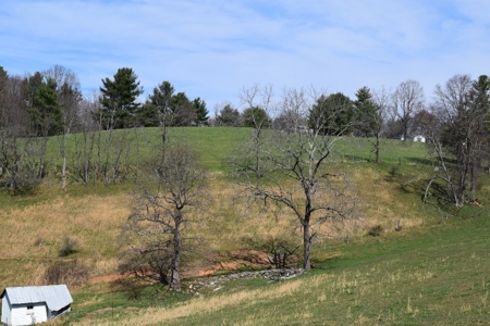 Country Home and Acreage for Sale in Floyd VA! - image 15