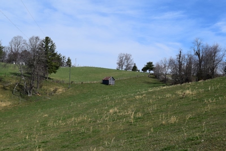 Country Home and Acreage for Sale in Floyd VA! - image 19