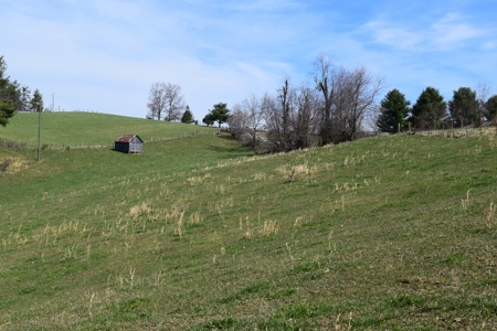 Country Home and Acreage for Sale in Floyd VA! - image 22