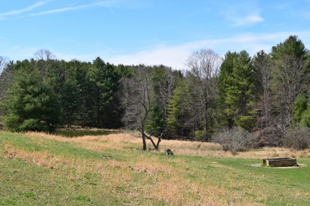 Country Home and Acreage for Sale in Floyd VA! - image 26