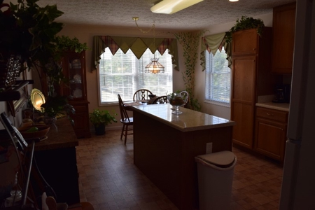 Country Home and Acreage for Sale in Floyd VA! - image 38