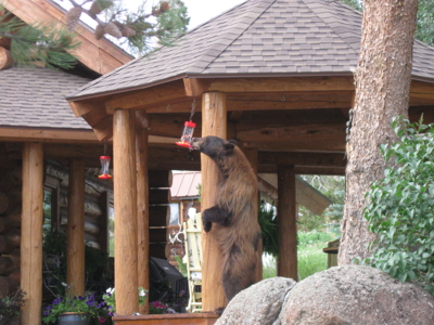 Rocky Mountain Log Home Colorado Cabin For Sale Grand Lake - image 2