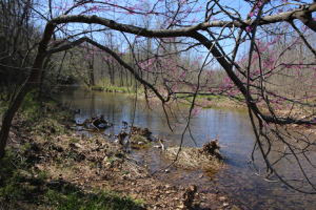 Water Front  55 Acre Farm  Solar & Electric near Hardy AR - image 4