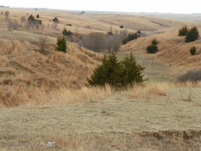 Absolute Multi-Parcel Land Auction - May 6, 2016 - 10Am - image 11