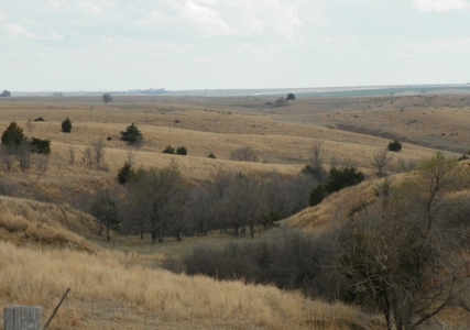 Absolute Multi-Parcel Land Auction - May 6, 2016 - 10Am - image 12