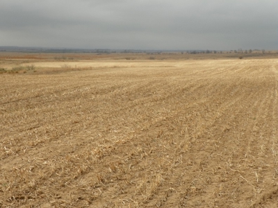 Absolute Multi-Parcel Land Auction - May 6, 2016 - 10Am - image 13