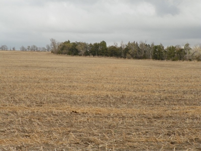 Absolute Multi-Parcel Land Auction - May 6, 2016 - 10Am - image 14