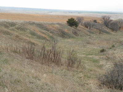 Absolute Multi-Parcel Land Auction - May 6, 2016 - 10Am - image 16