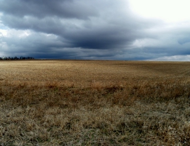 Absolute Multi-Parcel Land Auction - May 6, 2016 - 10Am - image 17