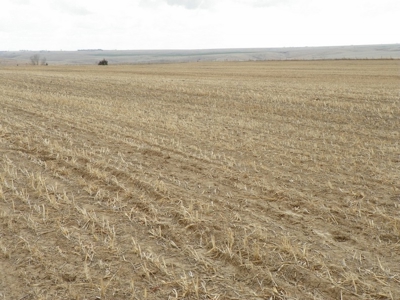 Absolute Multi-Parcel Land Auction - May 6, 2016 - 10Am - image 18