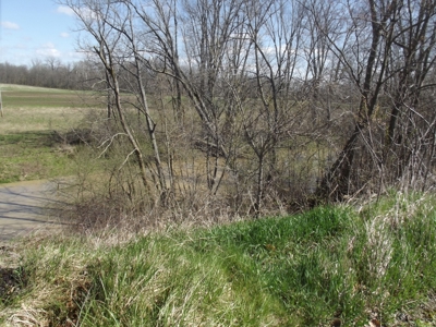 Rowe Real Estate Auction 5/26 @ 6pm - image 5