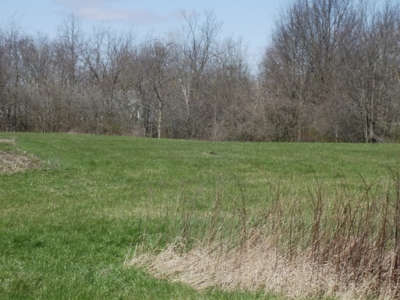 Rowe Real Estate Auction 5/26 @ 6pm - image 19