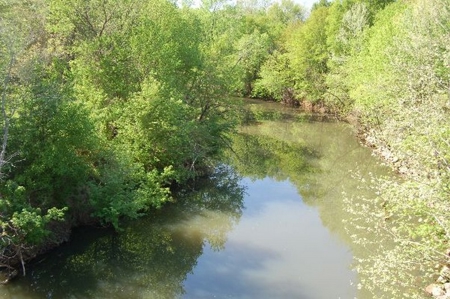 120 Ac River Valley Farm  With Mountain Views - image 2