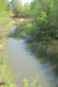 120 Ac River Valley Farm  With Mountain Views - image 3