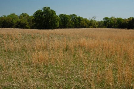 120 Ac River Valley Farm  With Mountain Views - image 8