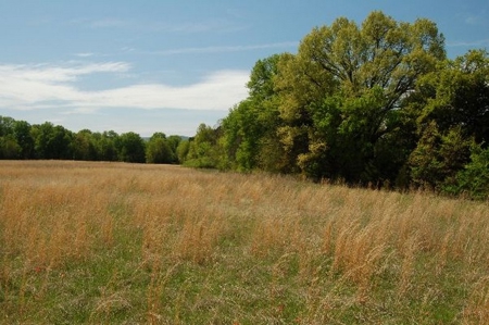 120 Ac River Valley Farm  With Mountain Views - image 9