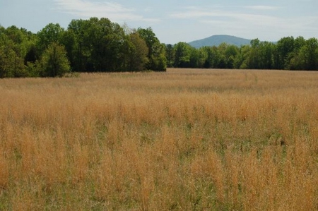 120 Ac River Valley Farm  With Mountain Views - image 10