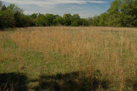 120 Ac River Valley Farm  With Mountain Views - image 11
