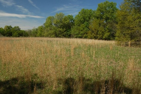 120 Ac River Valley Farm  With Mountain Views - image 14