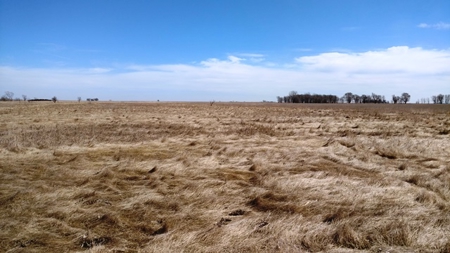 SOLD $3585 per acre! Land near Artesian South Dakota - image 1