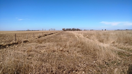 SOLD $3585 per acre! Land near Artesian South Dakota - image 2