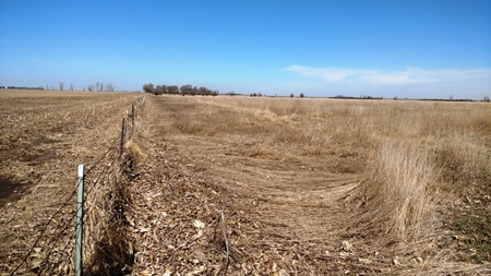 SOLD $3585 per acre! Land near Artesian South Dakota - image 3