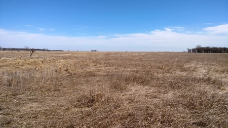 SOLD $3585 per acre! Land near Artesian South Dakota - image 4