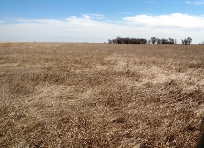 SOLD $3585 per acre! Land near Artesian South Dakota - image 5