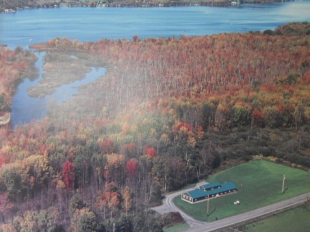 Arial View