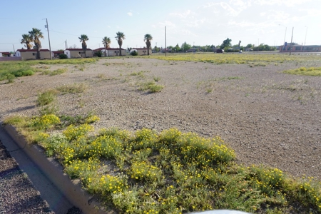 Fort Stockton's Business 10 Commercial Lot - image 3
