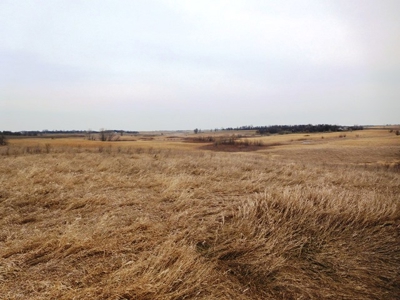 SOLD $2,350 per acre! 43 acre hobby farm in Deuel Co SD - image 2