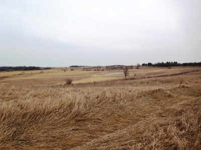 SOLD $2,350 per acre! 43 acre hobby farm in Deuel Co SD - image 3