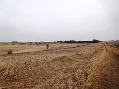SOLD $2,350 per acre! 43 acre hobby farm in Deuel Co SD - image 4