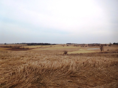 SOLD $2,350 per acre! 43 acre hobby farm in Deuel Co SD - image 5