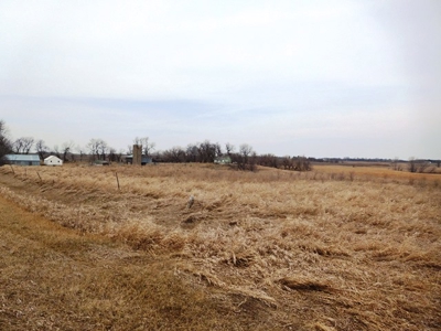 SOLD $2,350 per acre! 43 acre hobby farm in Deuel Co SD - image 8