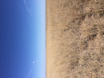 Income real estate in kiowa county colorado - image 1