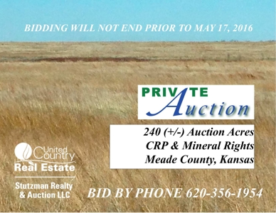 240 Acres Crp & Mineral Rights - Meade Co., Kansas - image 1