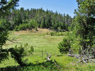 UNDER CONTRACT: Central MT Mountain Land For Sale Fergus - image 38