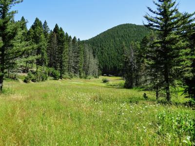 UNDER CONTRACT: Central MT Mountain Land For Sale Fergus - image 8