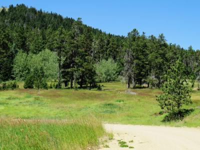 UNDER CONTRACT: Central MT Mountain Land For Sale Fergus - image 39