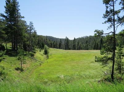 UNDER CONTRACT: Central MT Mountain Land For Sale Fergus - image 3