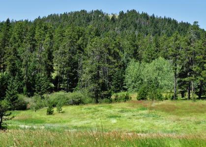 UNDER CONTRACT: Central MT Mountain Land For Sale Fergus - image 40