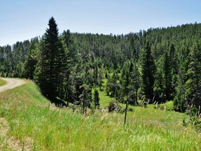 UNDER CONTRACT: Central MT Mountain Land For Sale Fergus - image 37