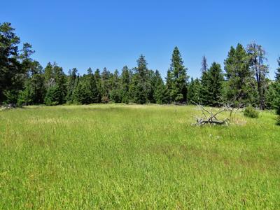 UNDER CONTRACT: Central MT Mountain Land For Sale Fergus - image 18