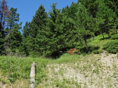 UNDER CONTRACT: Central MT Mountain Land For Sale Fergus - image 34