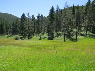 UNDER CONTRACT: Central MT Mountain Land For Sale Fergus - image 13