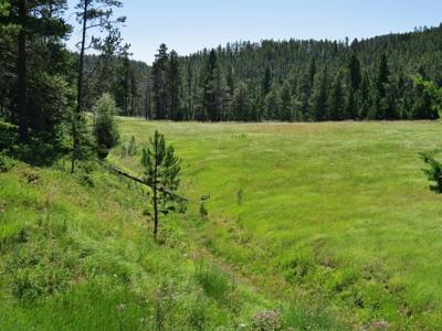 UNDER CONTRACT: Central MT Mountain Land For Sale Fergus - image 5